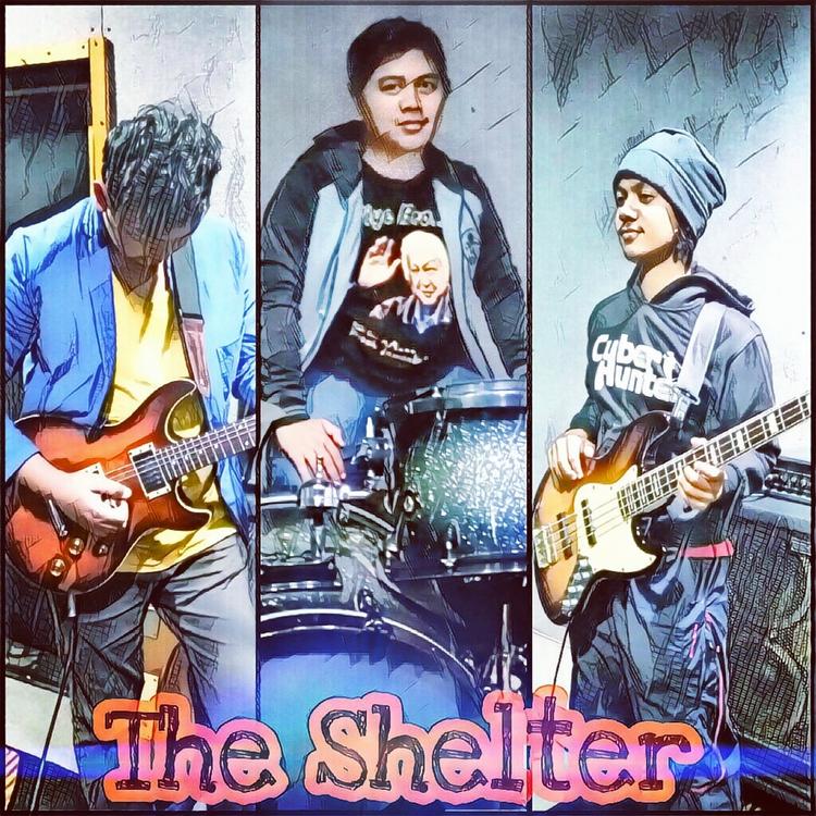 The Shelter's avatar image