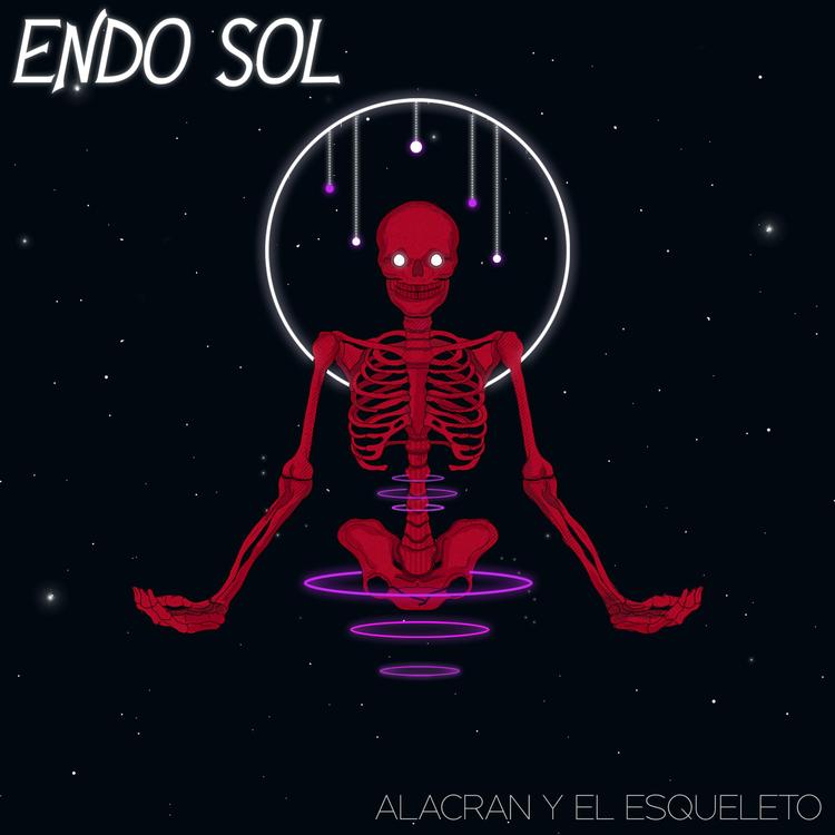 Endo Sol's avatar image