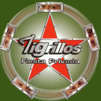 Fiesta Privada's cover