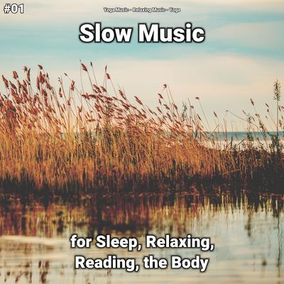 #01 Slow Music for Sleep, Relaxing, Reading, the Body's cover