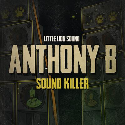 Sound Killer's cover