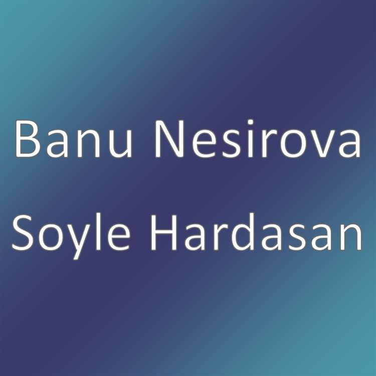 Banu Nesirova's avatar image