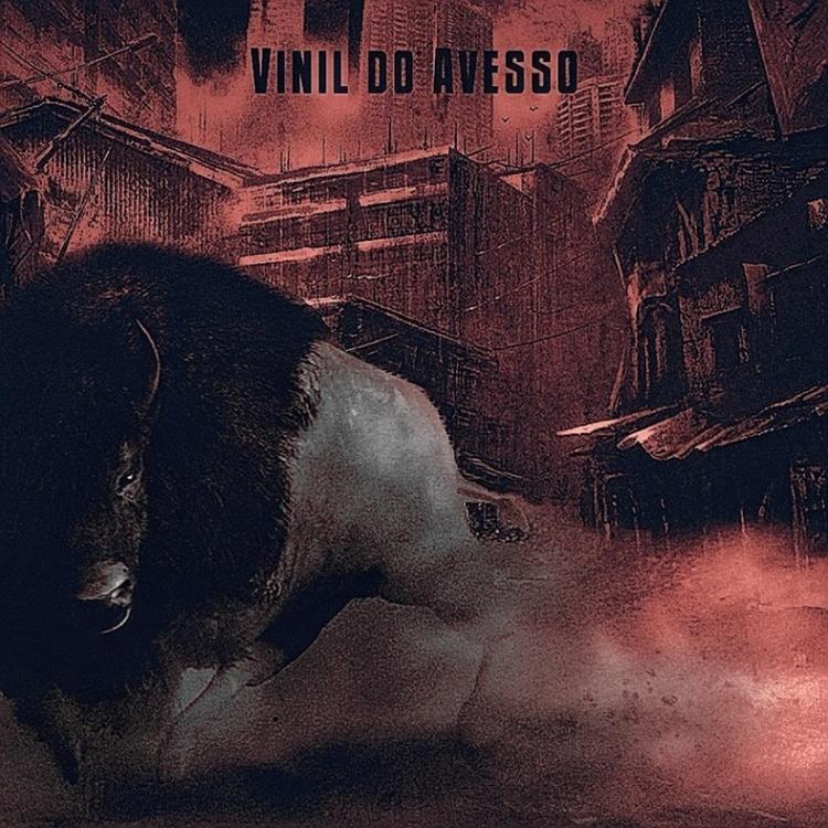 Vinil do Avesso's avatar image