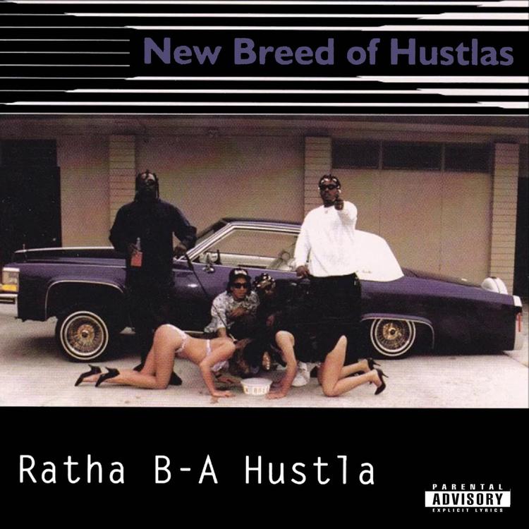 New Breed of Hustlas's avatar image