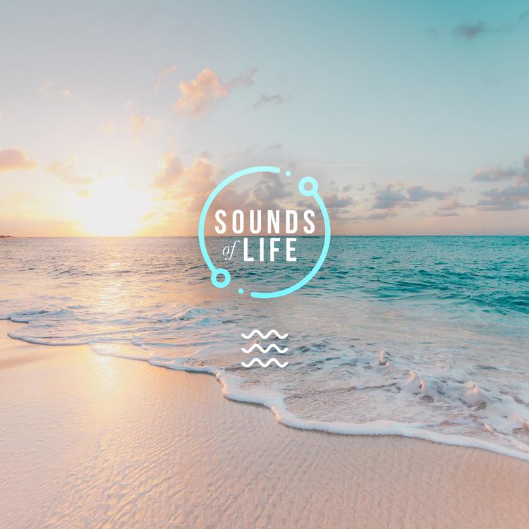 Sounds of Life's avatar image