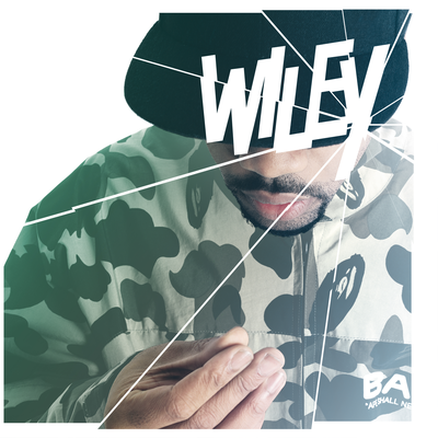 Wot Do U Call It? By Wiley's cover
