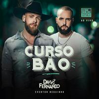 Davi e Fernando's avatar cover