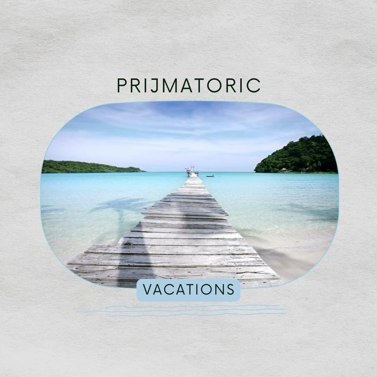 Prijmatoric's avatar image