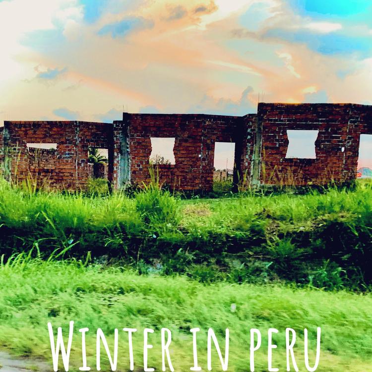 Winter in Peru's avatar image