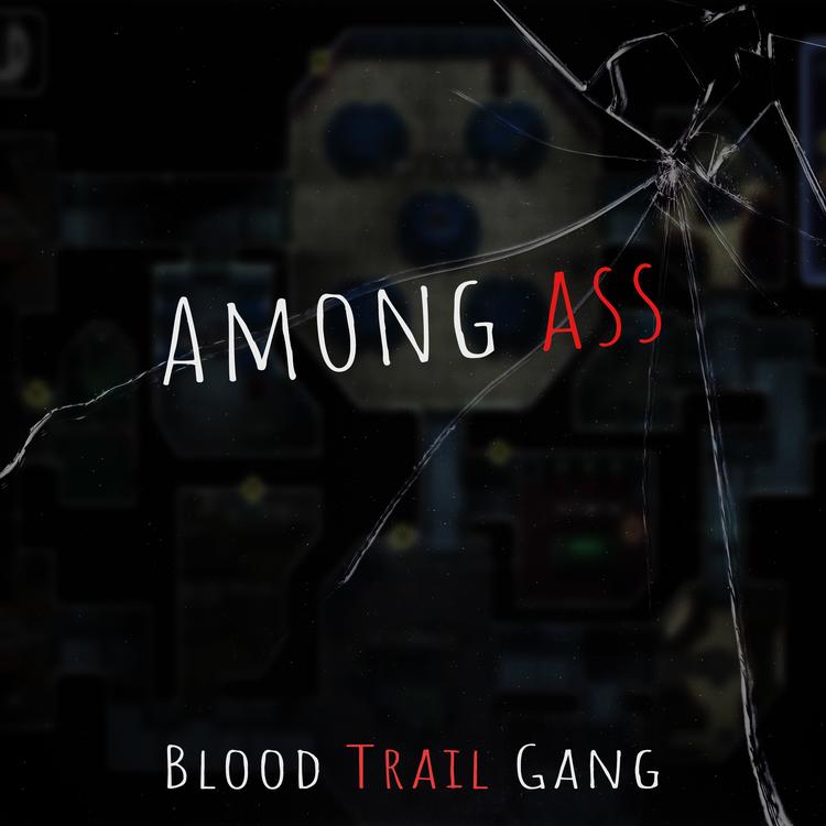 BLOOD TRAIL GANG's avatar image