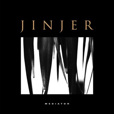 Vortex By Jinjer's cover