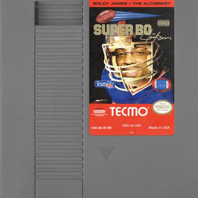 Super Tecmo Bo's cover