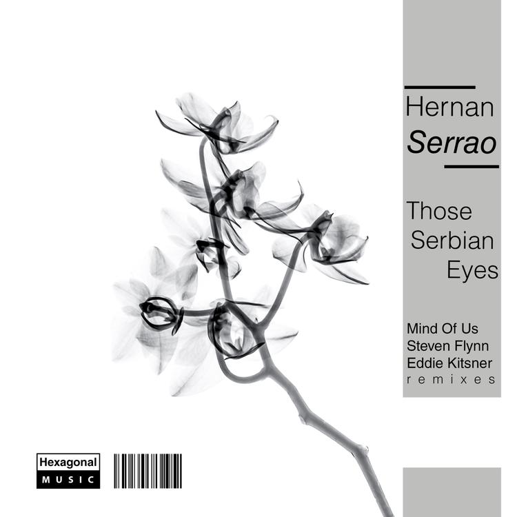 Hernan Serrao's avatar image