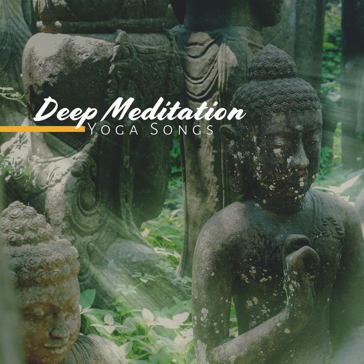 Buddhist Experience World's avatar image