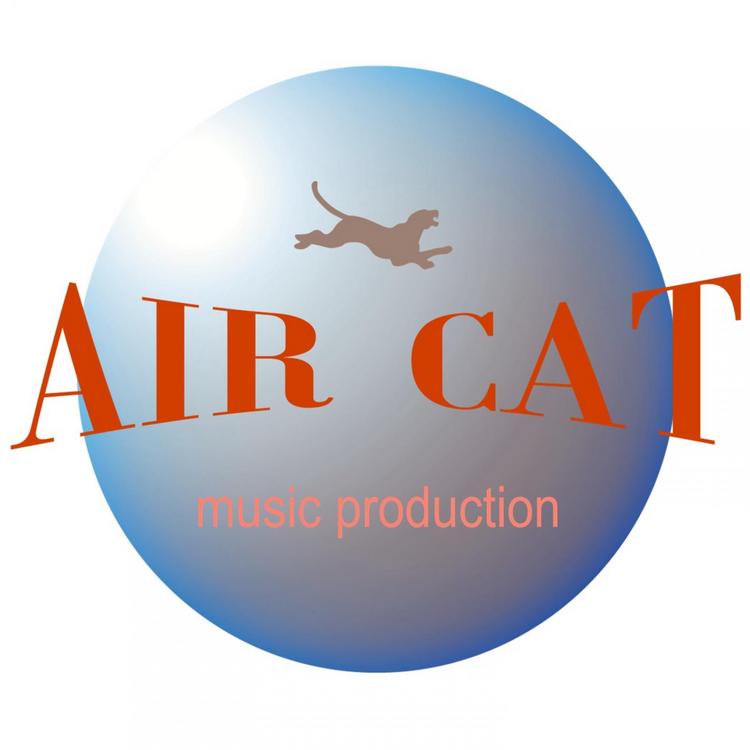 AIR CAT's avatar image