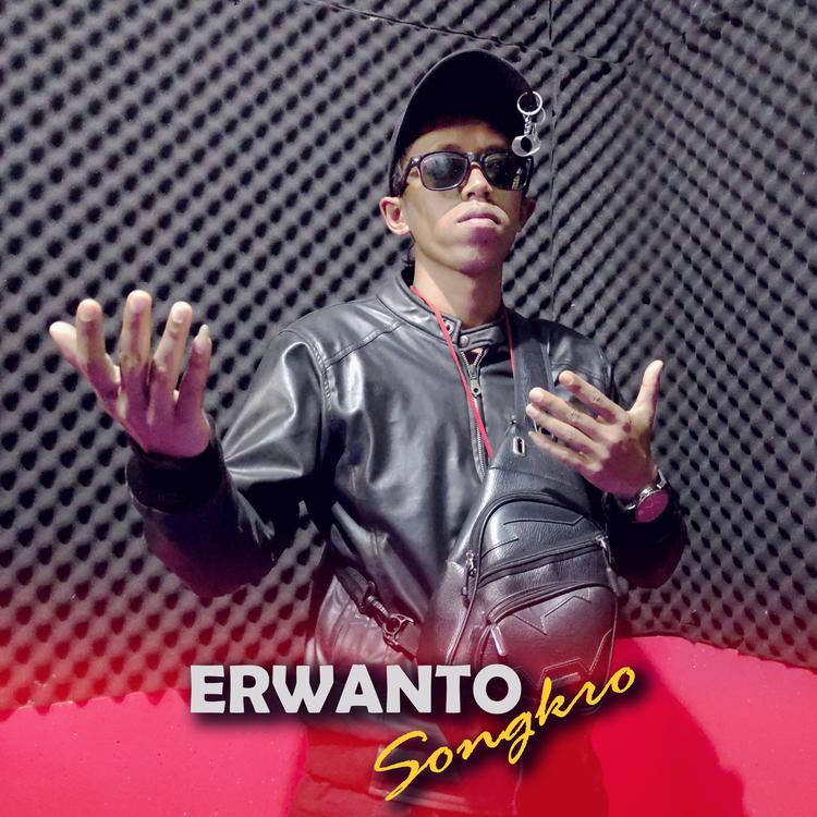 Erwanto Songkro's avatar image