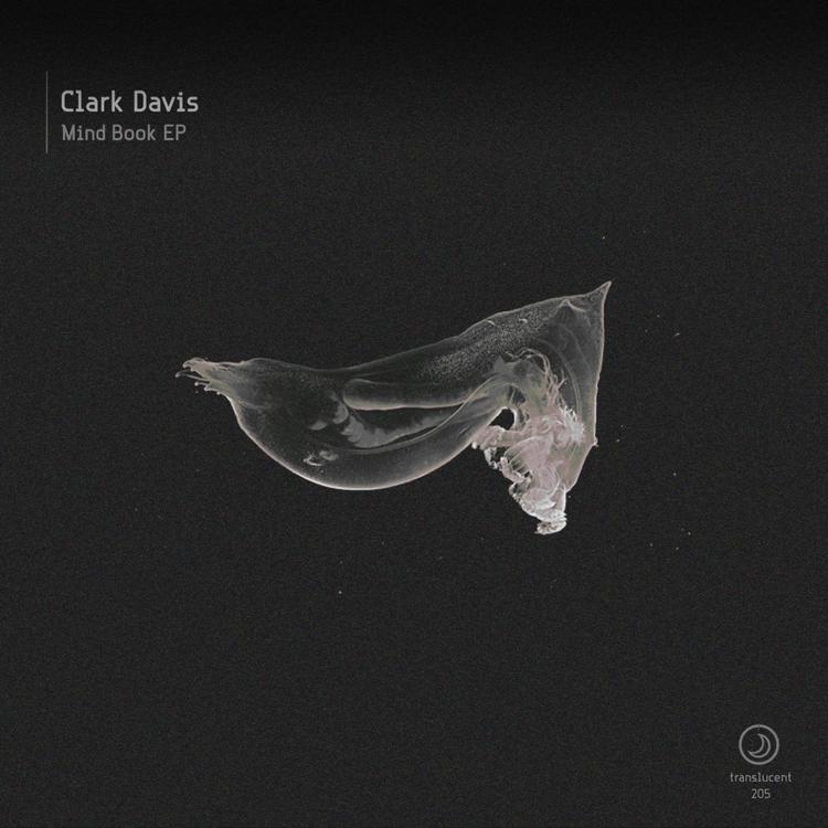 Clark Davis's avatar image