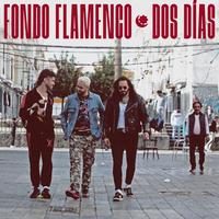 Fondo Flamenco's avatar cover