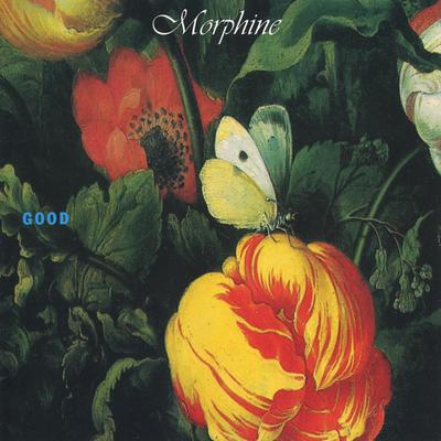 Good By Morphine's cover