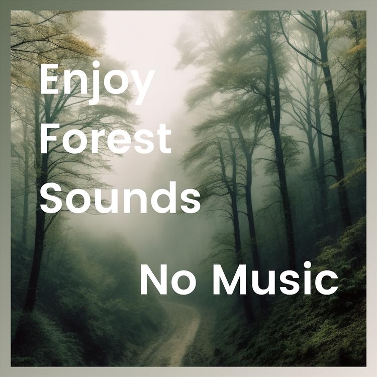Forest Sounds Channel's avatar image