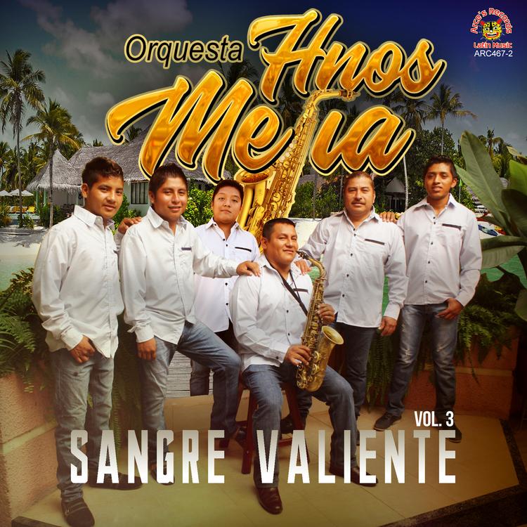 Orquesta Hermanos Mejia's avatar image