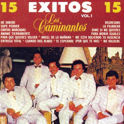 15 Exitos, Vol. I's cover