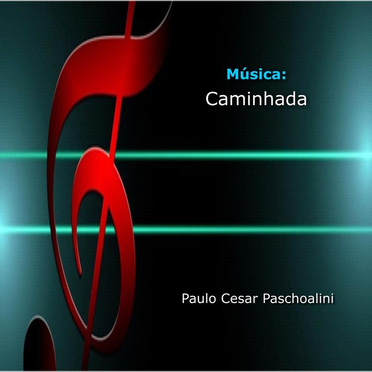 Paulo Cesar Paschoalini's avatar image