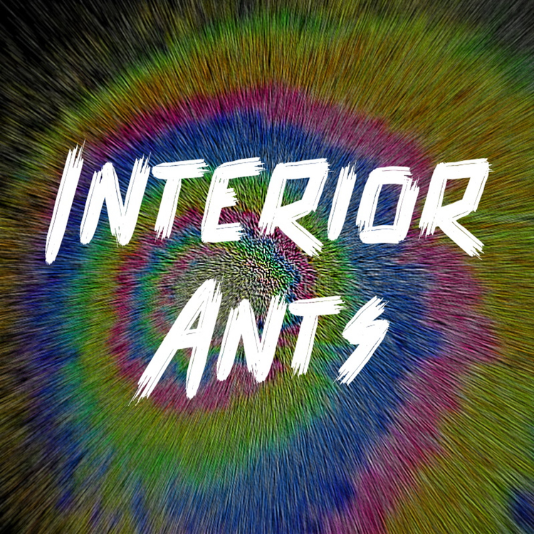 Interior Ants's avatar image