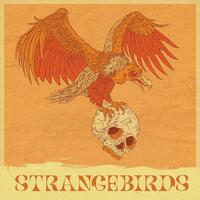 Strangebirds's avatar cover