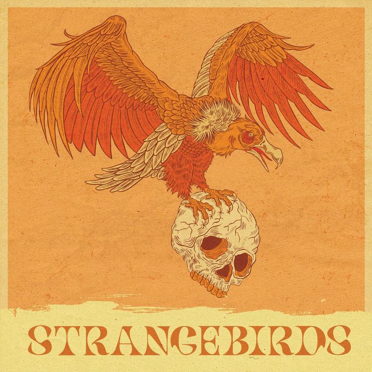 Strangebirds's avatar image