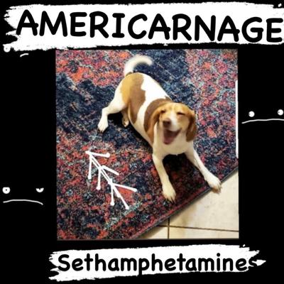 As It Changes By Americarnage's cover