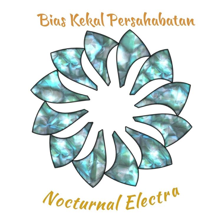 Nocturnal Electra's avatar image