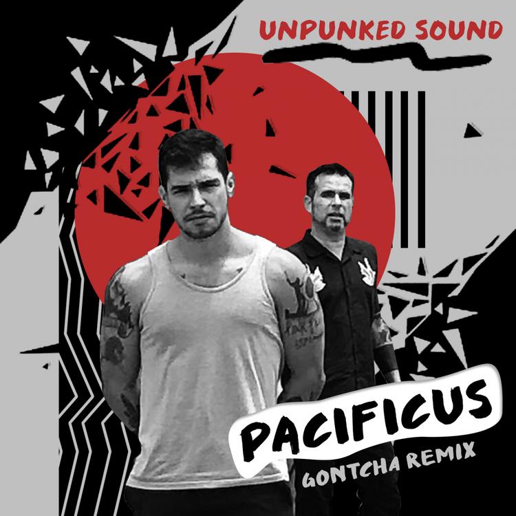 Unpunked Sound's avatar image