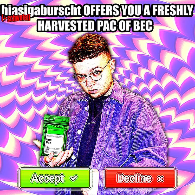 hiasigaburscht's avatar image
