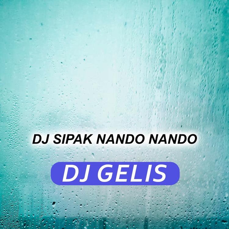 DJ Gelis's avatar image