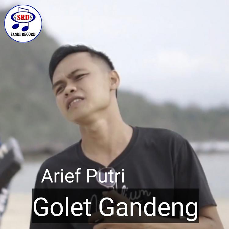 Arief Putri's avatar image
