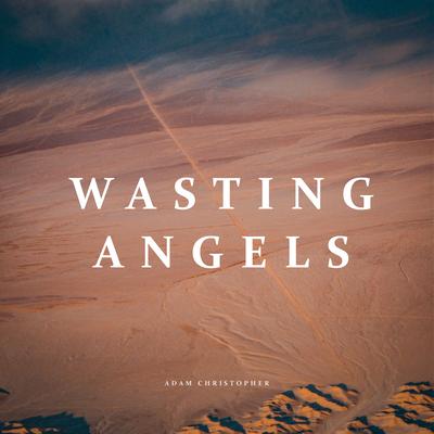 Wasting Angels (Acoustic)'s cover