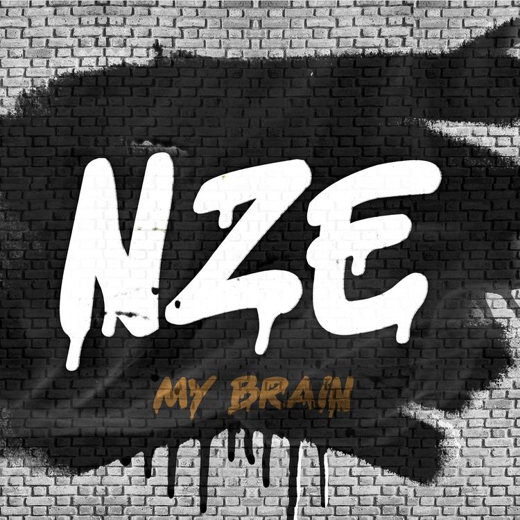 NZE's avatar image