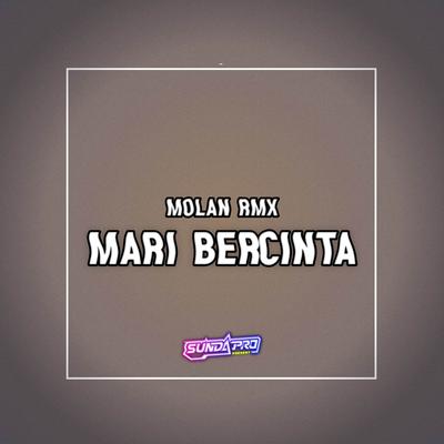 MARI BERCINTA (Remix)'s cover