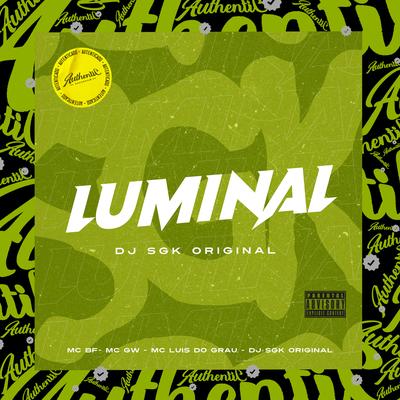 Luminal's cover