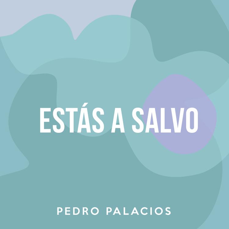 Pedro Palacios's avatar image
