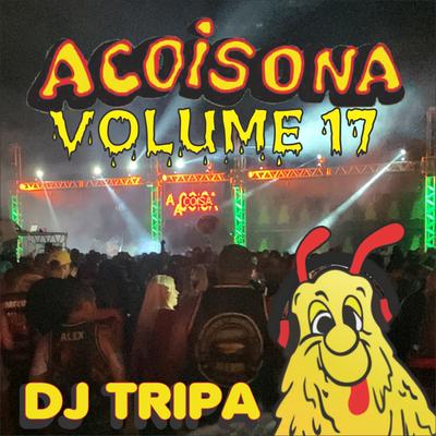 Acoisona, Vol. 17's cover