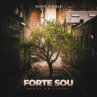 Forte Sou By Banda Universos's cover