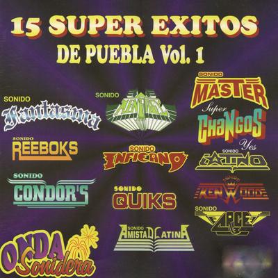 15 Super Exitos de Puebla  Vol. 1's cover