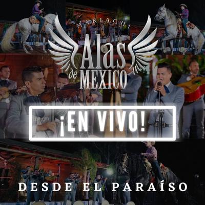 Mariachi Alas De Mexico's cover