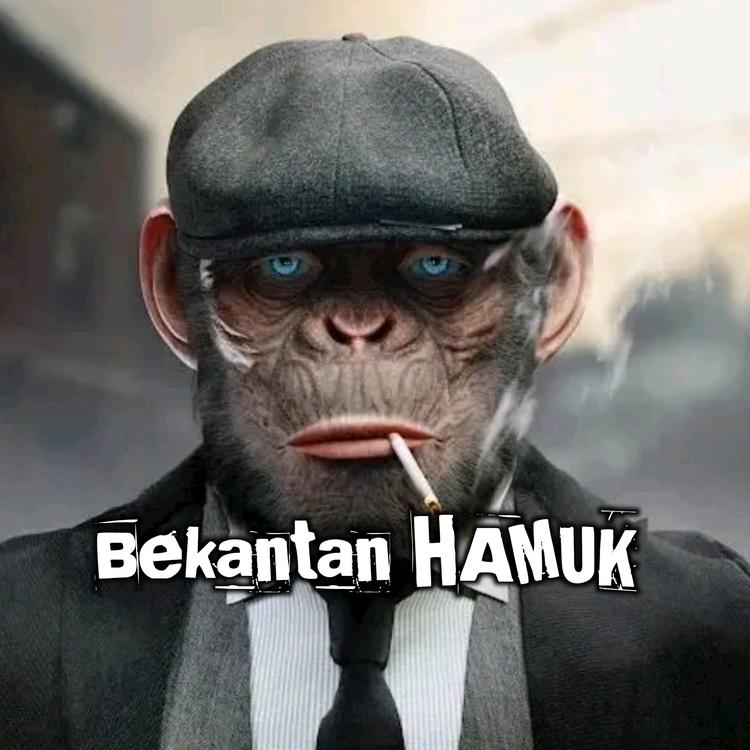 Bekantan HAMUK's avatar image