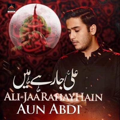 Ali As Jaa Rahay Hain's cover