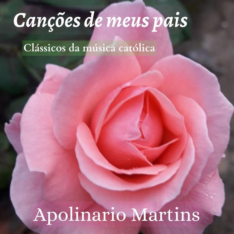 Apolinario Martins's avatar image