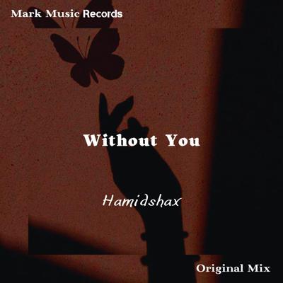 Without You By Hamidshax's cover