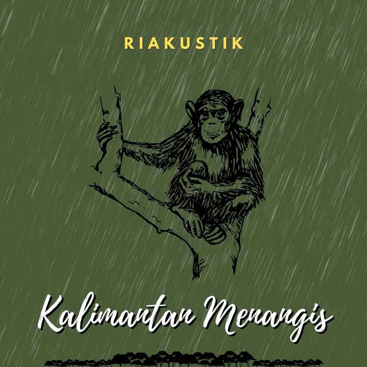 Riakustik's avatar image